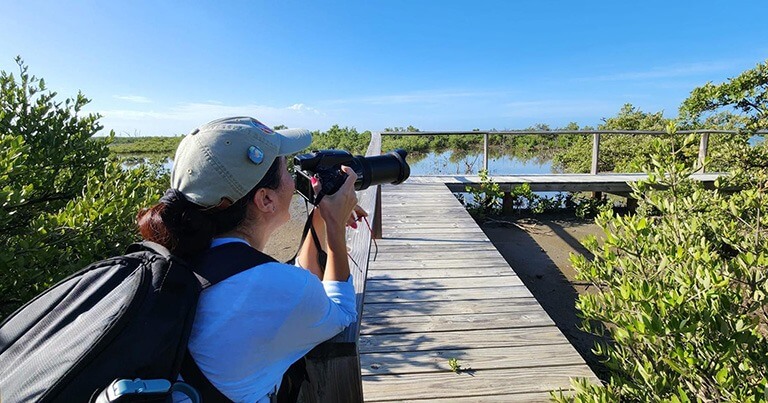 Cómo comenzó todo esto del pajareo y fotografía de aves